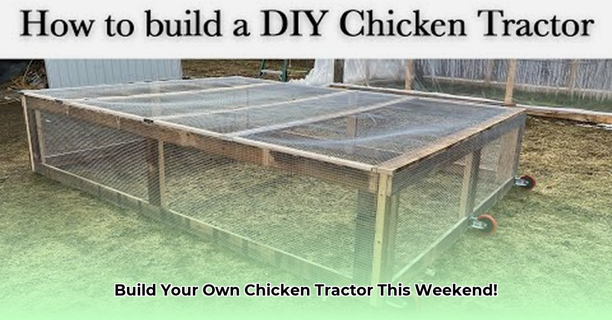 easy-chicken-tractor-plans